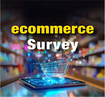 ecommerce Survey